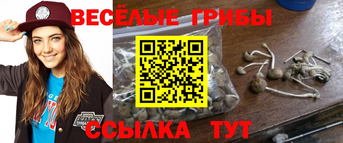 Кулебаки  Галлюциногенные грибы мухоморы  Псилоцибиновые грибы Cubensis  Вход с VPN 